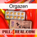 Orgazen 41